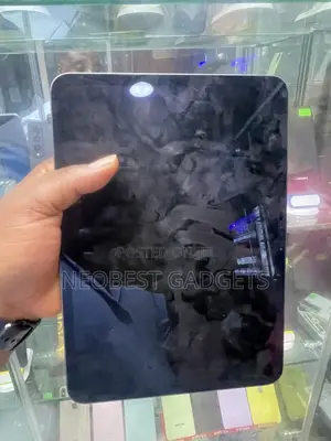 Apple iPad Pro 11 (2024) 256 GB Gray