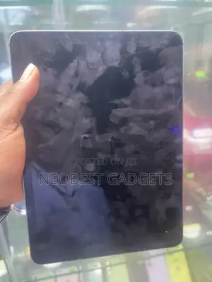Apple iPad Air 256 GB Gray