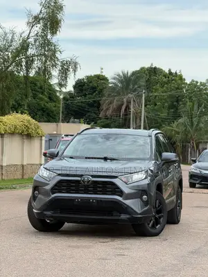 Toyota RAV4 XLE AWD 2019 Gray