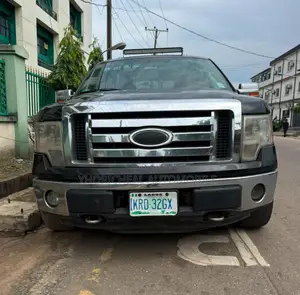 Ford F-150 FX4 2012 Brown