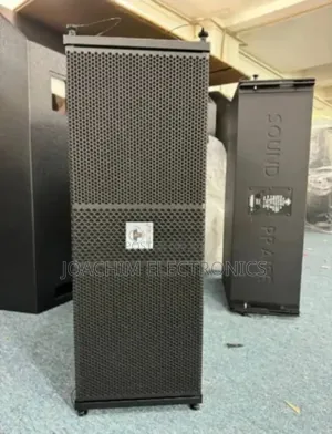 Sound Praise 10 Inches Line Array Speaker