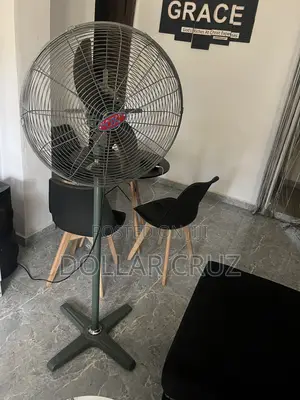 An Ox Fan in Good Condition