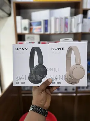 Sony WH-CH520
