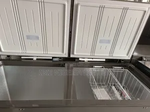 Hisense 500L Freezer (2D)