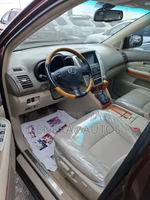 Lexus RX 2009 Brown