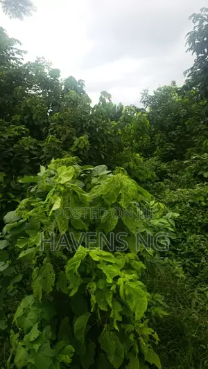 Prime 3 Plots of Land for Sale in Peace Estate, Ologuneru – ₦18M