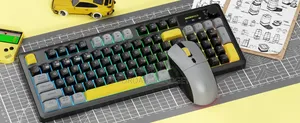 RGB Keyboard and Mouse