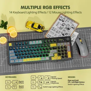 RGB Keyboard and Mouse