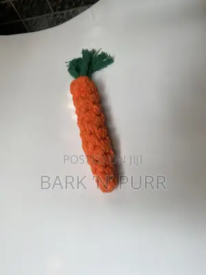 Carrot Pet Toy