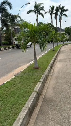Plant Installations and Maintainance
