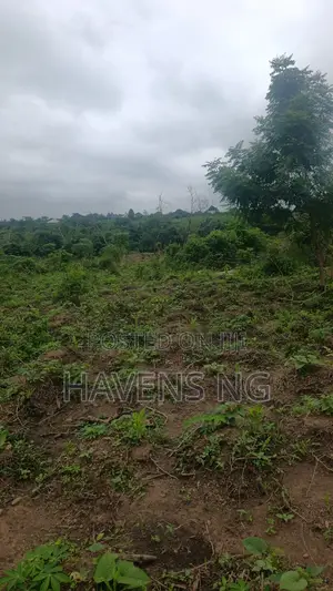 Affordable Estate Land for Sale – From ₦2 Million Per Plot