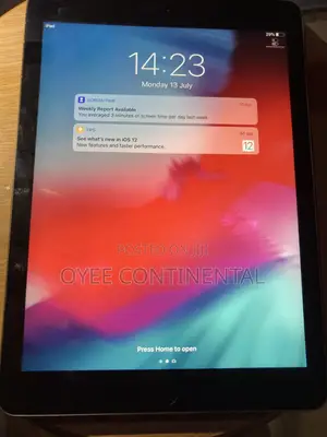 Apple iPad mini 2 32 GB Gray