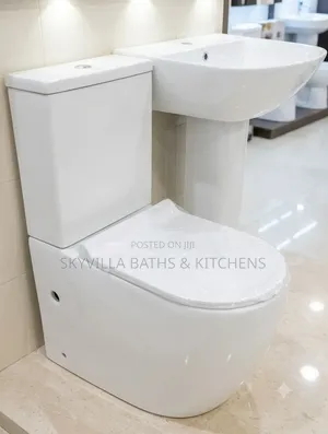 Modern Ceramic Bathroom Dual-Flush Toilet Pedestal Basin Combo