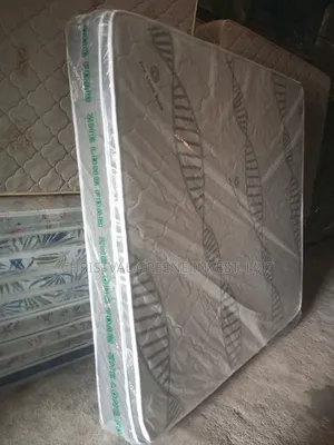 6x6x10 Inches Zhe Long (Spring Mattress)