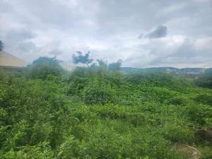 Half Plot of Land for Sale at 
2nd Avians Off Ayegun Oleyo Akala Exp.