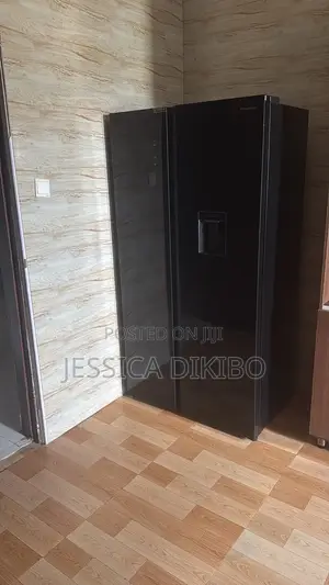 Hisense Double Door Fridge
