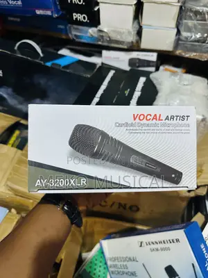 Wired Microphone