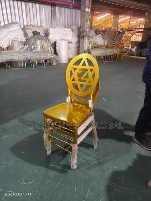 New Model Imported Iron Dior Chair