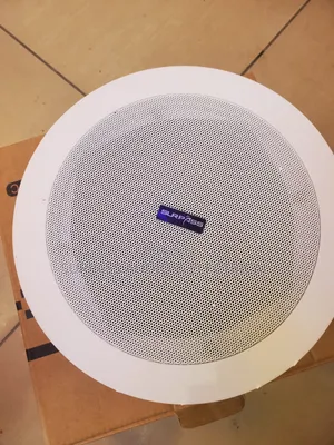 20watt Non Frameless Speaker