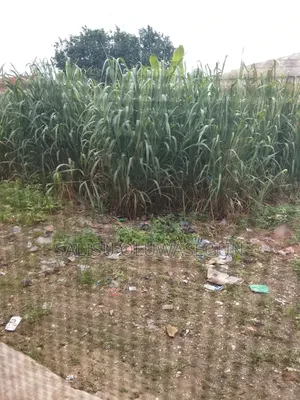 A Plot of Land Available for Sale