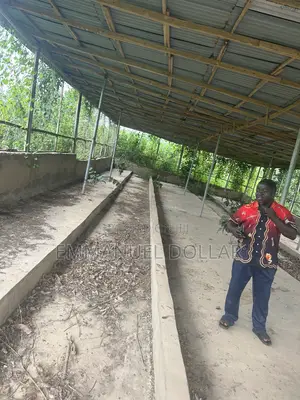Poultry on a 2.5 Plot of Land