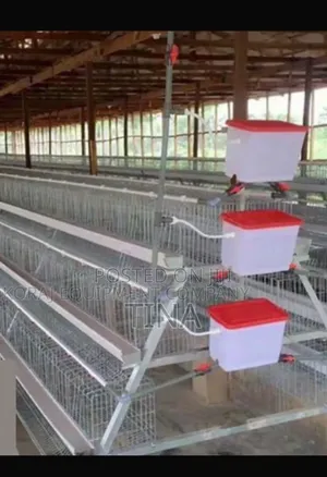 Poultry Battery Cage