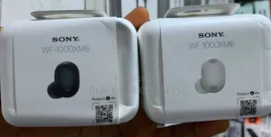Sony WF-1000XM6 Earbuds