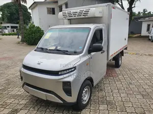 New Farizon Xingxiang V 2025 Gray