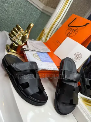 Hermes Palm