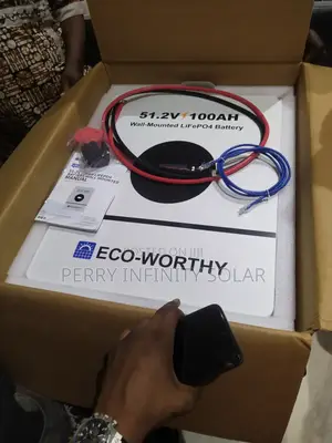 Eco-Worthy 5kWh 51.2V LiFePO4 Battery | 6000+ Cycles | 100A BMS