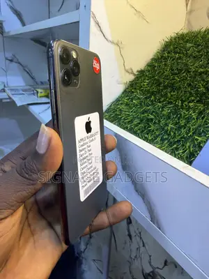 Apple iPhone 11 Pro Max 256 GB Gray