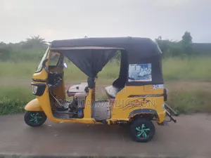 Bus 2024 Yellow