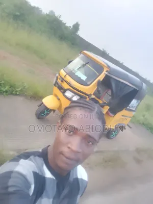 Bus 2024 Yellow