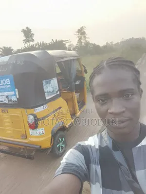 Bus 2024 Yellow