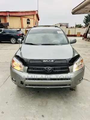 Toyota RAV4 2007 Gray