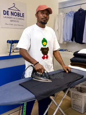 Professional Ironing Services Available