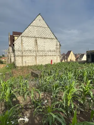 Mass Housing
