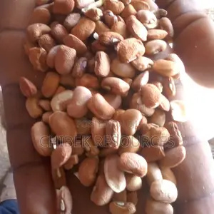 30 Big Painta Iron Brown Beans