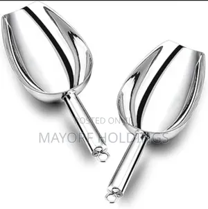 Stainless Scooper