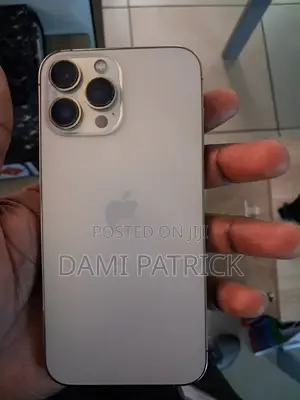 Apple iPhone 13 Pro Max 128 GB Silver