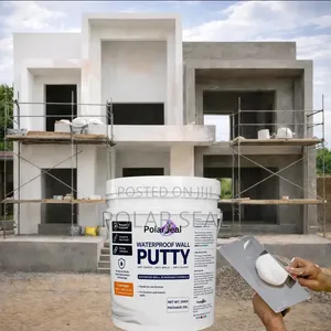 Looking for the Best Anti-Damp Wall Putty? PolarSeal Screeding Putty