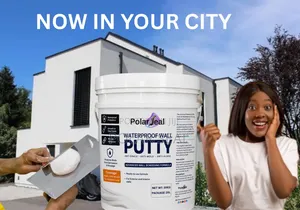 PolarSeal Anti Crack Wall Screeding Putty Now in Benin City, Edo State