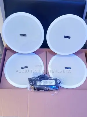 Sky Tec Bluetooth 4 in 1 Celling Speaker 30w