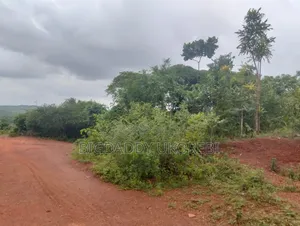200 Acres of Land