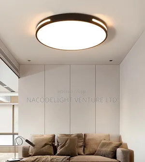 LED Modern Indoor Ceiling Lighting White Warm Color