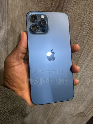 Apple iPhone 12 Pro Max 256 GB Blue