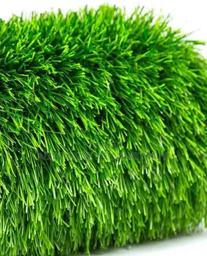 Foot Ball Pitc Standard Grass