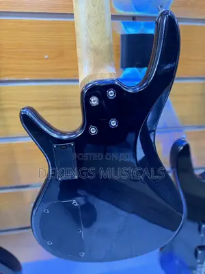 Professional Deviser Active Bass 5 Strings Guitar