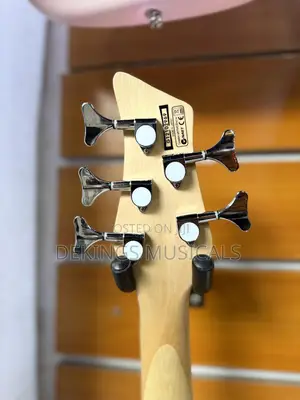 Ibanez 5 Strings Bass Guitar With Active Electronics
