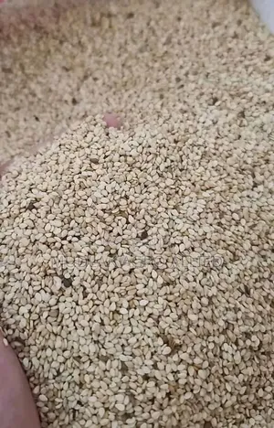 Sesame Seed